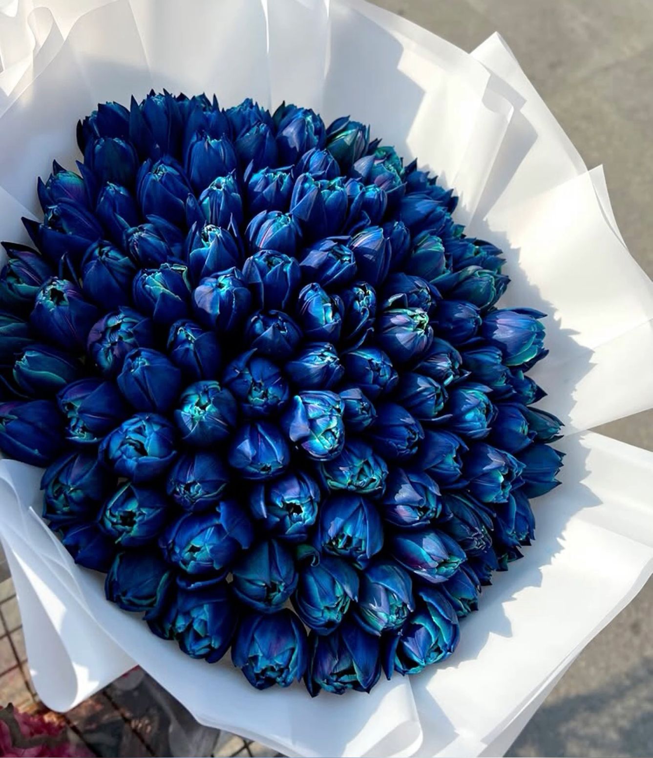 closeup of a metal chain connected to a metal ring in the ground